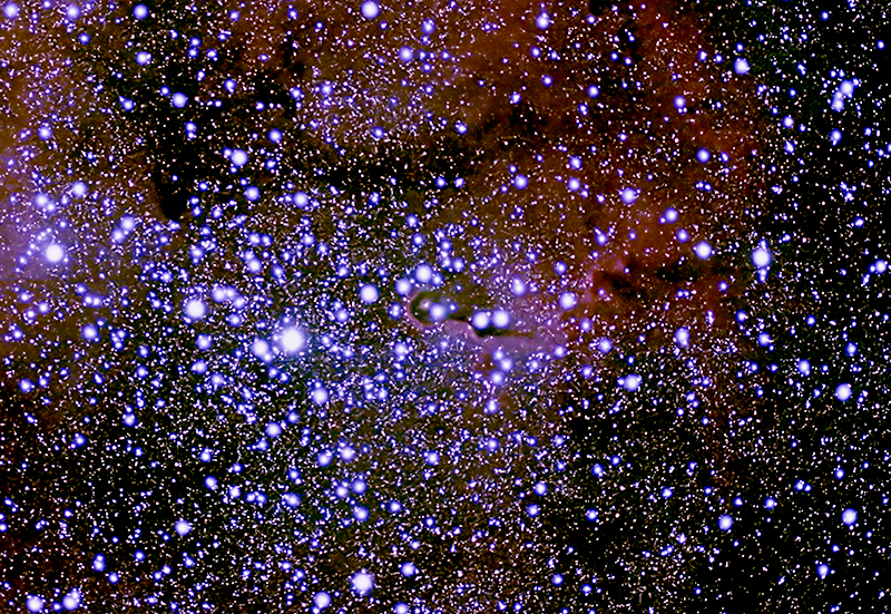 Elephant's Trunk Nebula